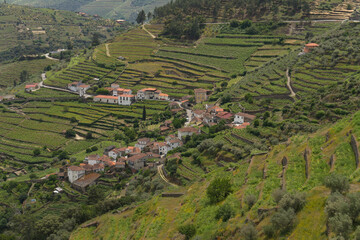 Traditional village in the Douro valley