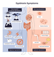 Dysbiosis symptoms mapped, gut microbiome imbalance linking digestive, skin, and mental signs, key visuals include intestines, human silhouette, and symptom icons. Doodle style diagram