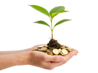 Hands holding coins with a plant isolated on transparent background
