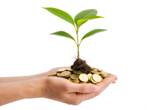 Hands holding coins with a plant isolated on transparent background