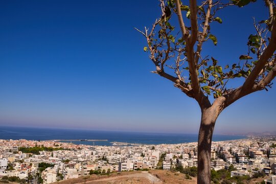 Tree in front of an Aerial cityscape and sea view, Rethimnon (Rethymno), Crete, Greece