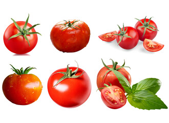 Fresh Red Tomatoes on Transparent Background PNG