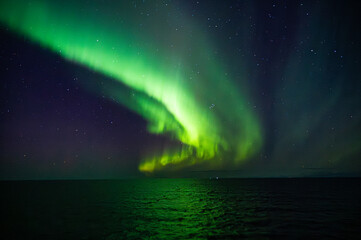 A mesmerizing display of the Northern Lights illuminates the night sky over a calm sea, creating a...