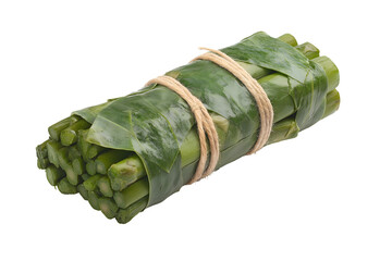 Fresh asparagus spears bundled with twine isolated on a white background 
