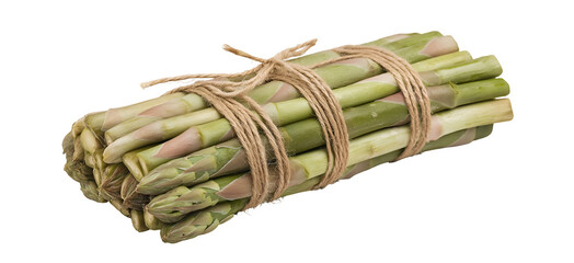 Fresh asparagus spears bundled with twine isolated on a white background 
