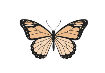 Obraz premium A butterfly illustration with black outlined wings and beige and peach colored details