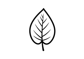 Stylized leaf illustration with central vein and symmetrical side veins outlined in bold black lines