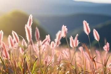 pink flowers in the wind