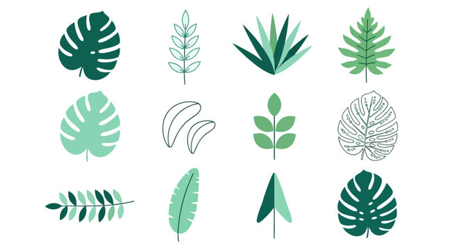 Collection of Various Tropical Leaves in Shades of Green, Perfect for Summer or Nature-Themed Designs