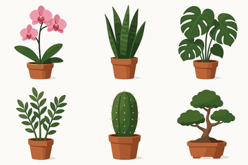 Obraz premium A set of 6 colorful vector illustrations of indoor plants in terracotta pots. Style: cartoonish, flat, with soft shadows, on a white background. The pots are identical, brown-terracotta.