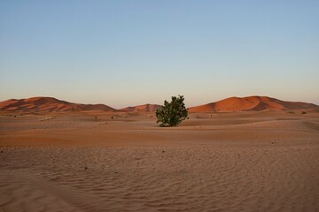 Desierto de Merzouga
