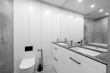 Bright Elegant Modern Minimalist Bathroom Interior Design of Shower Room