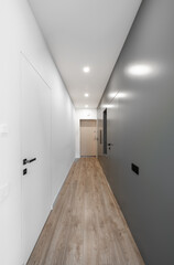 Home Entrance Hall. Interior. Wooden Outdoor Door, Brown Flooring. Minimalism. LED Light.