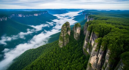 Mountain range with clouds in a green forest landscape