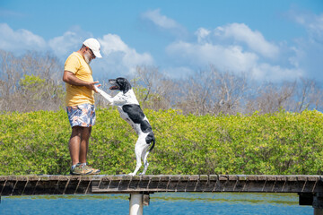 Homem com barbas brancas 50 mais, em p&eacute; num trapiche com seu amigo pet um perdigueiro preto e branco. Melhor amigo do homem. Passeando com seu cachorro. Pet abra&ccedil;ando seu tutor