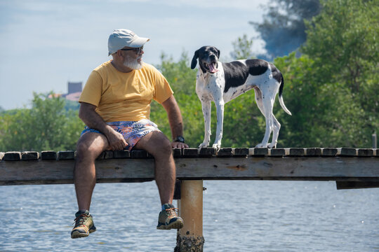 Homem com barbas brancas 50 mais, sentado em um trapiche com seu amigo pet um perdigueiro preto e branco. Melhor amigo do homem. Passeando com seu cachorro