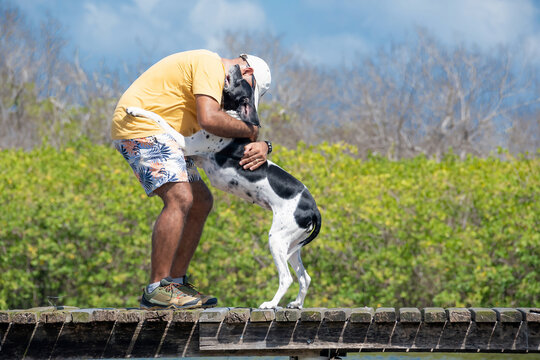 Homem com barbas brancas 50 mais, de p&eacute; em uma trapiche com seu amigo pet um perdigueiro preto e branco. Melhor amigo do homem. Passeando com seu cachorro. Pet abra&ccedil;ando seu tuto