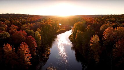 ﻿Aerial drone shot flying over a winding river through a vibrant autumn forest at sunrise nature, vibrant autumn forest, outdoor - Powered by Adobe