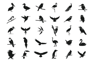 Collection of diverse bird silhouettes in various poses and species isolated on white background