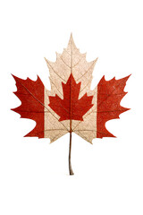 Canadian flag on a Maple Leaf Flag Textured white background