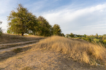 Autumn landscape on a sunny day