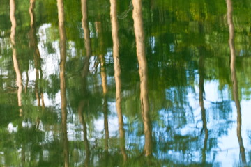 Spiegelung in einem Fluss