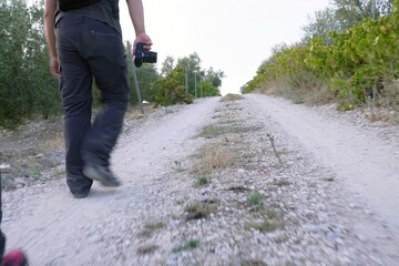 Obraz premium Low-angle view of a hiker walking on a dusty gravel road surrounded by olive trees and vineyards in the countryside. Concept of freedom and exploration.