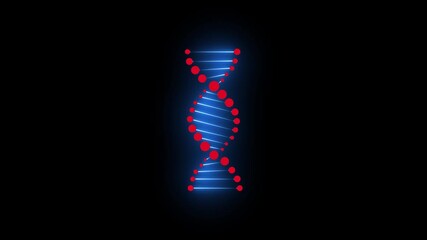 The dna is spinning. glowing blue and red, color  video animation. 4k. HD vedio isolate on blank bankground.