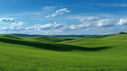 Fototapeta premium russia summer landscape - green fileds, the blue sky and white c