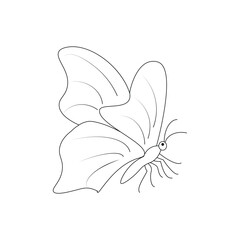 Fototapeta premium butterfly line art, butterfly