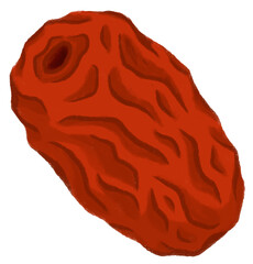 Jujube Illustration