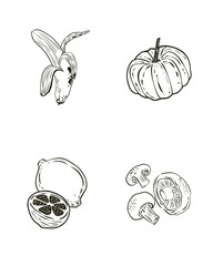 hand drawn vector illustration of vegetables