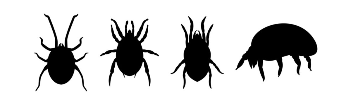 Silhouette mite variant in black and white