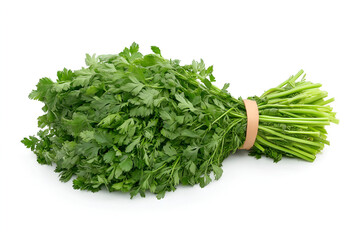 Bundle of fresh green celery stalks with leaves isolated on white background.