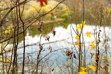 Autumn trees with yellow and red leaves on a hill above calm river reflecting forest and cloudy sky. Rural landscape photography. Autumn season and nature concept.
