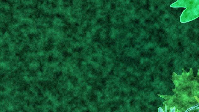Abstract textured dark green background with subtle lighter green cloudlike patterns and a small bright green shape in the lower right corner