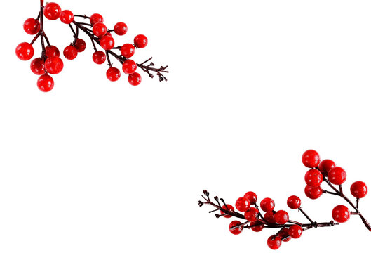 Red berries branches fir ornament frame isolated cutout object on transparent background . - Powered by Adobe
