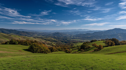 Obraz premium russia summer landscape - green fileds, the blue sky and white c