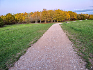 Obraz premium A landscape with trees in autumn color at Rushcliffe Country Park in Nottingham, UK.