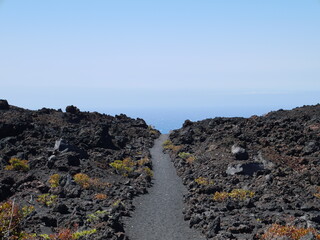 Path Through the Lava Fields – Journey into Volcanic Silence