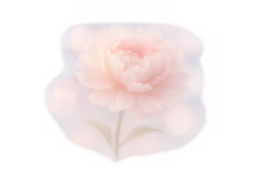 Soft pink peony flower blooming with ethereal glow, watercolor illustration style on transparent background