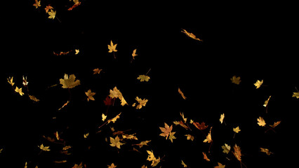 Falling Maple Leaves. Freeze Motion of Autumn Leaves Isolated on Black Background. Ideal for Seasonal Design, Background Overlays, and Creative Visual Projects.