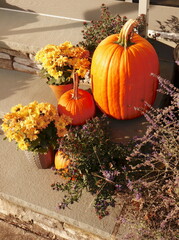 Autumn Decorations on Front Steps