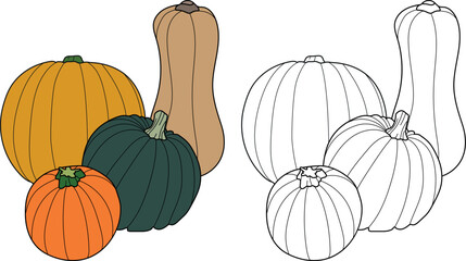 A coloring page featuring a group of pumpkins of various shapes and sizes.