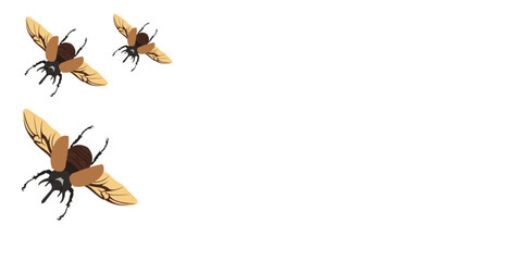Horn beetle template background. Rhinoceros beetle banner. Copy space and negative space