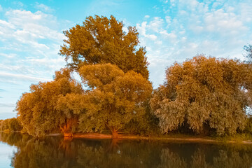 Beautiful summer evening view with reflections at Stephansposching, Danube, Deggendorf, Bavaria, Germany