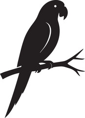 vector illustration of a parrot bird