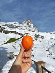 orange in the hand