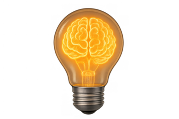 Brain glowing orange inside a light bulb, symbolizing inspiration, intelligence, and developing new concepts on transparent background