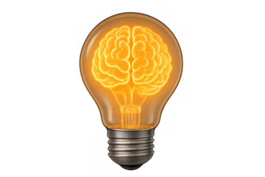 Brain glowing orange inside a light bulb, symbolizing inspiration, intelligence, and developing new concepts on transparent background